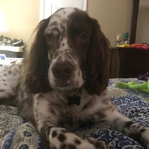 Meet your Posher, Emma